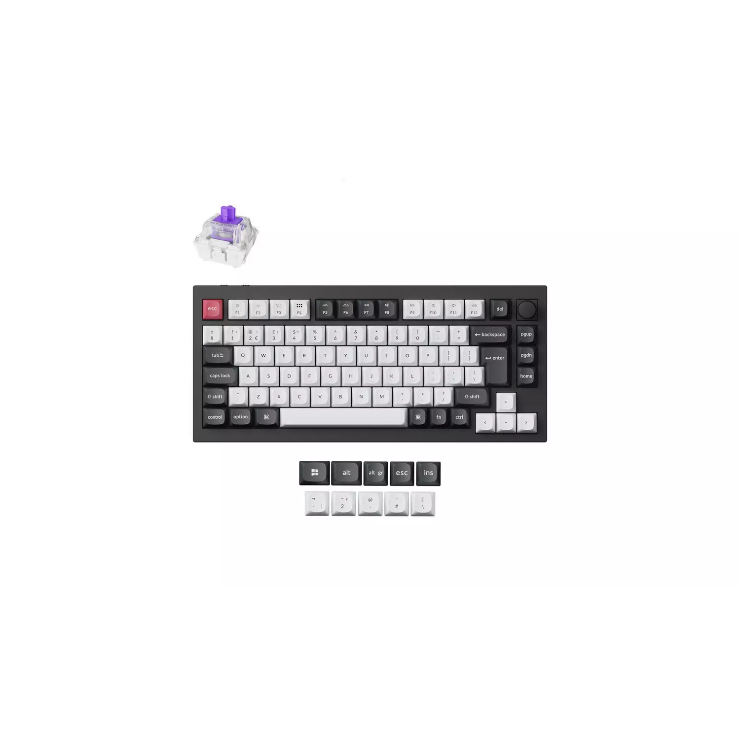 6526b682e719a624d41b5e41_7789159-r-z001a_1785530604401.png